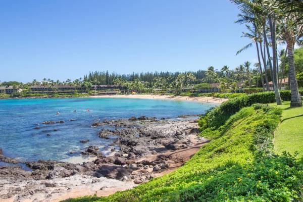 Napili Bay - Maui oceanfront resort, calm beach with a green beachfront lawn