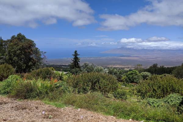 Kula Lavander Farms, view of the ocean