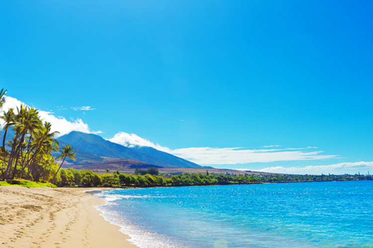 Top 5 Beaches on Maui | Maui Resorts Vacation Rentals 