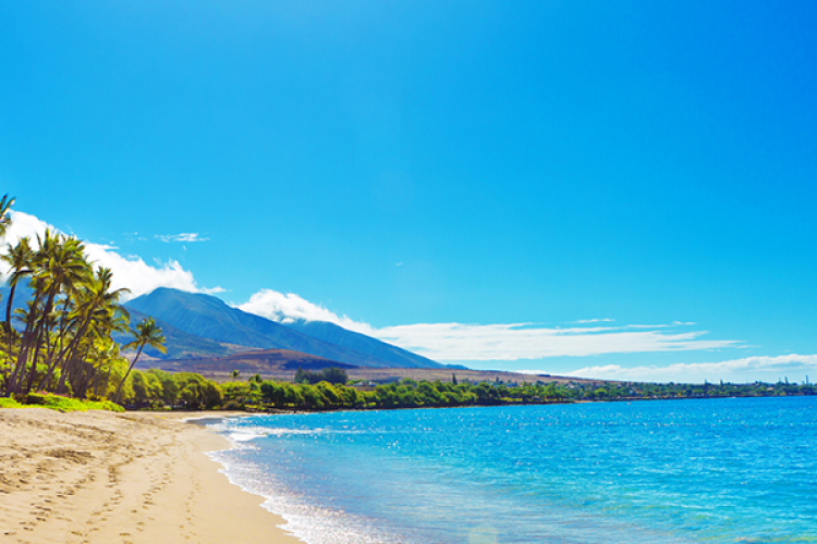 Top 5 Beaches on Maui | Maui Resorts Vacation Rentals Top 5 Beaches on Maui | Maui Resorts Vacation Rentals