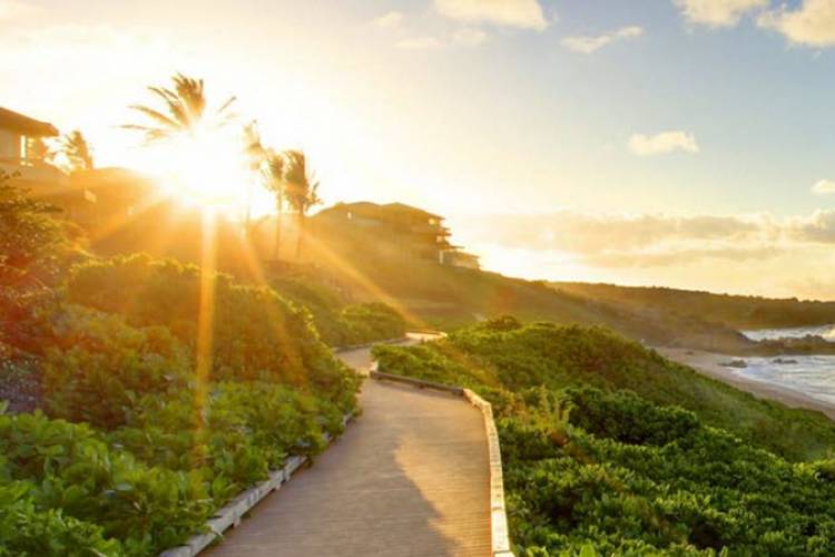 Kapalua Coastal Trail