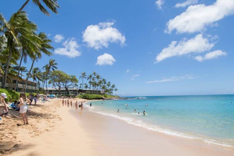 Renting A Resort In Napili Bay