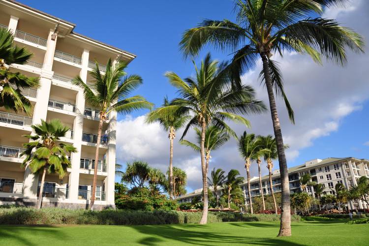 West Maui vacation condos against a clear blue sky, with palm trees in the foreground.