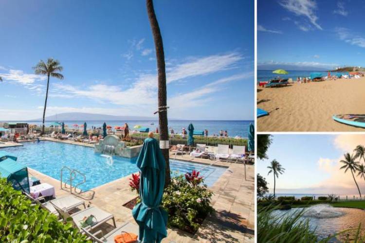Beachfront pool at the Whaler Resort in Kaanapali overlooking the ocean, with palm trees, lounge chairs, and expansive views of the shoreline and horizon.