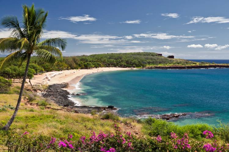 Explore the Island of Lanai | Paradise Activities | Maui Resorts