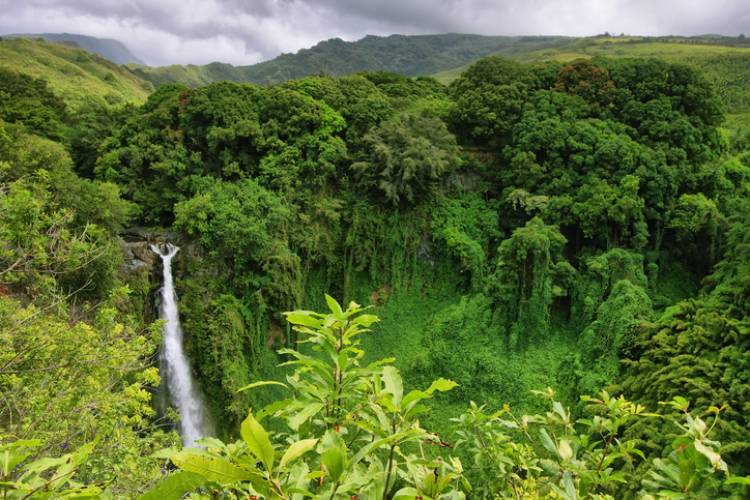 Maui Waterfall Adventure | Paradise Activities | Maui Resorts 