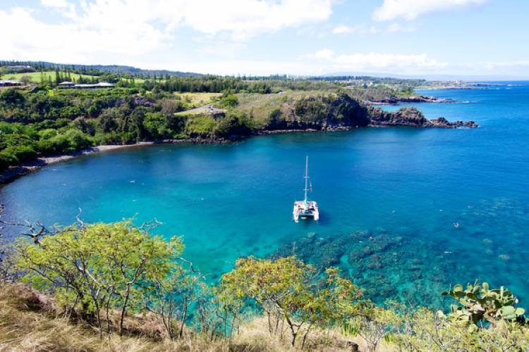 Honolua Bay Picnic Snorkel | Paradise Activities | Maui Resorts