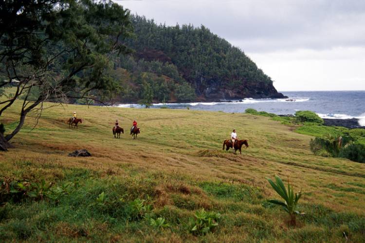 Maui Horseback Riding | Paradise Activities | Maui Resorts