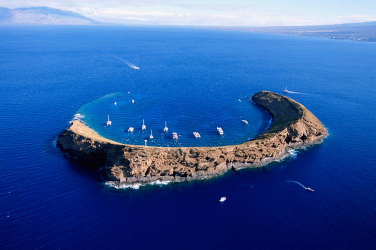 Scuba Dive Lanai & Molokini | Paradise Activities | Maui Resorts
