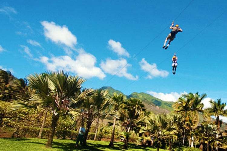Maui Zip Lining Tours | Paradise Activities | Maui Resorts 