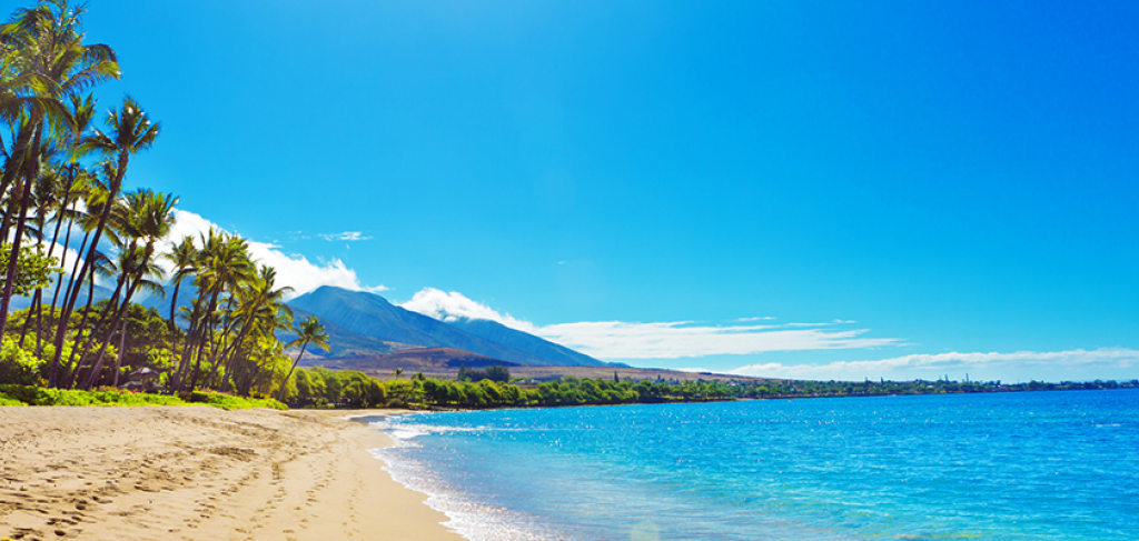 Top 5 Beaches on Maui | Maui Resorts Vacation Rentals Top 5 Beaches on Maui | Maui Resorts Vacation Rentals
