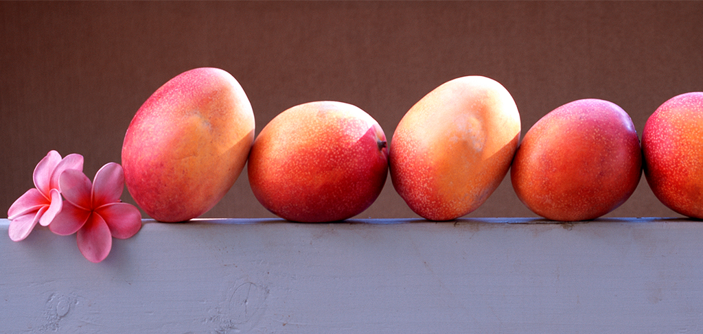 Mango Season on Maui | Maui Vacation Blog | Maui Resorts Mango Season on Maui | Maui Vacation Blog | Maui Resorts