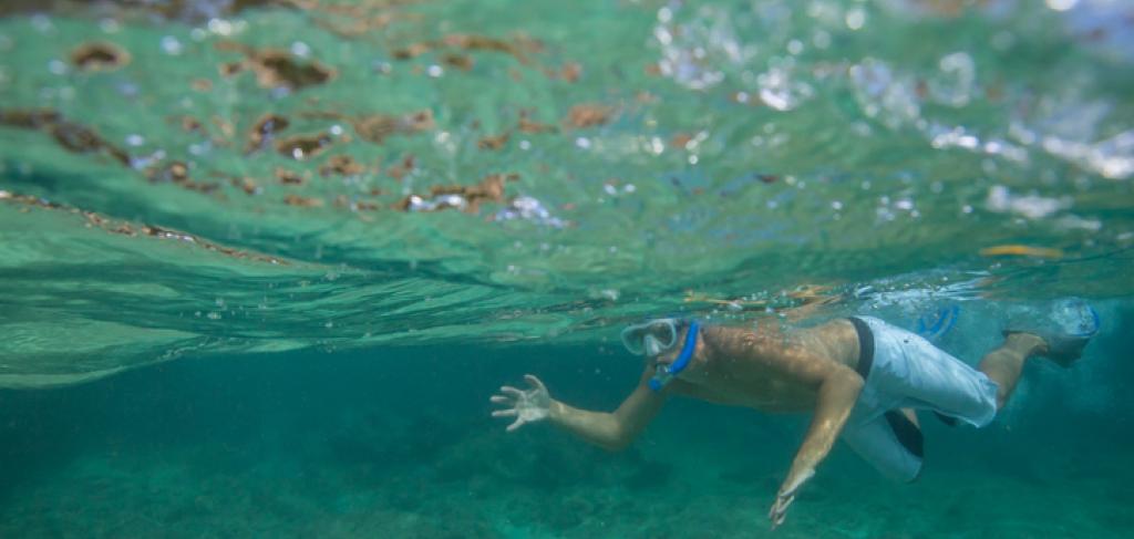 Molokini & Turtle Town Snorkeling | Paradise Activities | Maui Resorts Molokini & Turtle Town Snorkeling | Paradise Activities | Maui Resorts