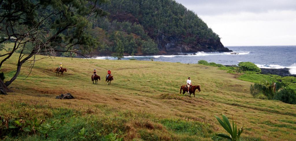 Maui Horseback Riding | Paradise Activities | Maui Resorts Maui Horseback Riding | Paradise Activities | Maui Resorts
