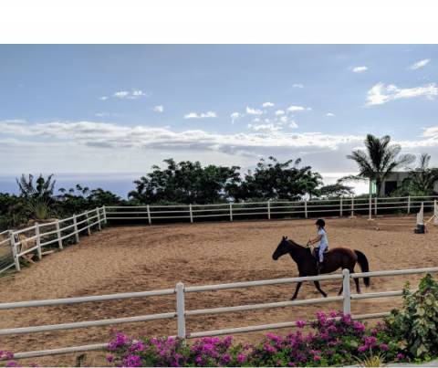 A girl horseback riding in West Maui, Riding with Aloha School