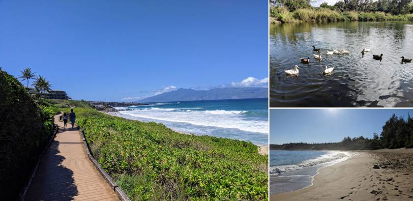 Kapalua Coastal Trails, the Duck Pond, and the Fleming beach in Kapalua