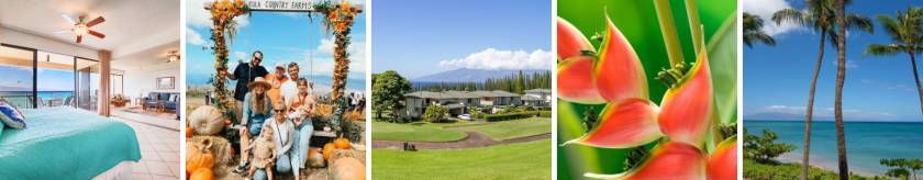 Maui Resorts by Sullivan Properties Instagram feed