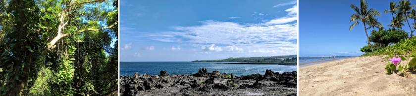 images of Honolua Bay Rainforest, Kapalua coast, and Lahaina Baby Beach, on West Maui